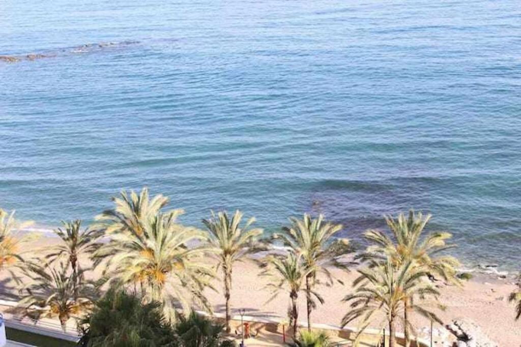 Large Modern Beach Front Apartment, Rooftop Pool!! マルベーリャ エクステリア 写真